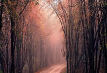 内部调动，五人制足球队队医卢卡斯-戈麦斯将加入巴萨一线队.