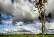 必赢亚洲官网：[图]世预赛-拜合拉木、张玉宁破门 国足2-1印尼取首胜.