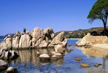 内部调动，五人制足球队队医卢卡斯-戈麦斯将加入巴萨一线队.